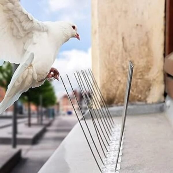 PIC ANTI-PIGEON ACIER INOXYDABLE 50CM