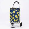 Chariot Caddie de Course de Marché 45L AKAY