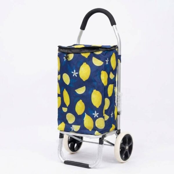 Chariot Caddie de Course de Marché 45L AKAY