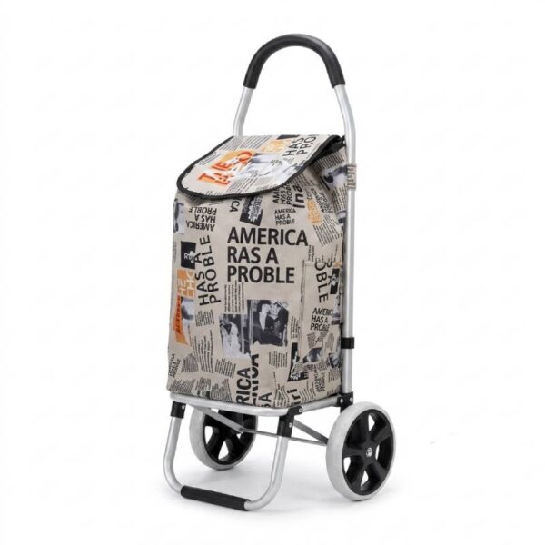 Chariot Caddie de Course de Marché 45L AKAY