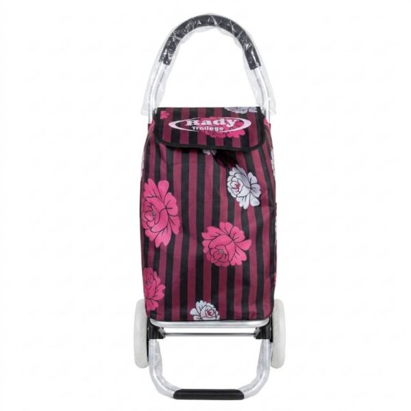 Chariot Caddie de Course de Marché 45L AKAY
