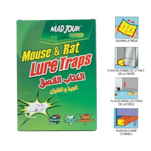Colle Livre Rat et Souris MADJOUR