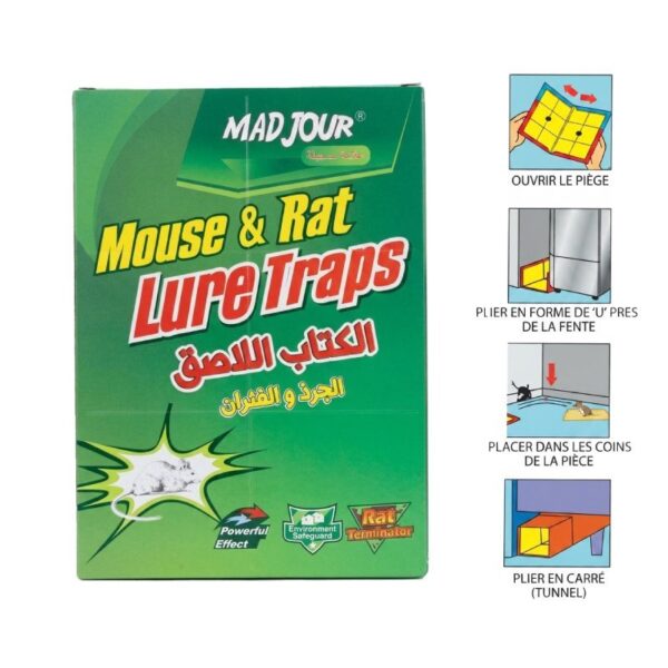 Colle Livre Rat et Souris MADJOUR