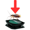 Piège à Cafards et Insectes 6pcs TRAPEXPERT