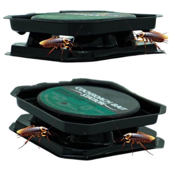 Piège à Cafards et Insectes 6pcs TRAPEXPERT