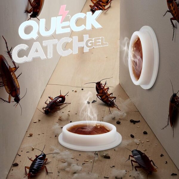 Queckatch GEL anti cafards 8pcs